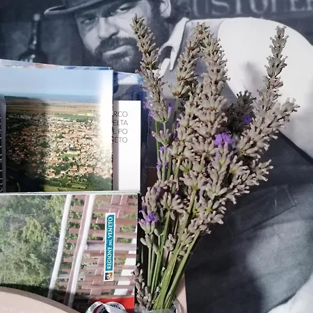 Casa Dolce Casa - A Lejlighed *